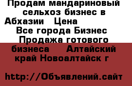 Продам мандариновый сельхоз-бизнес в Абхазии › Цена ­ 1 000 000 - Все города Бизнес » Продажа готового бизнеса   . Алтайский край,Новоалтайск г.